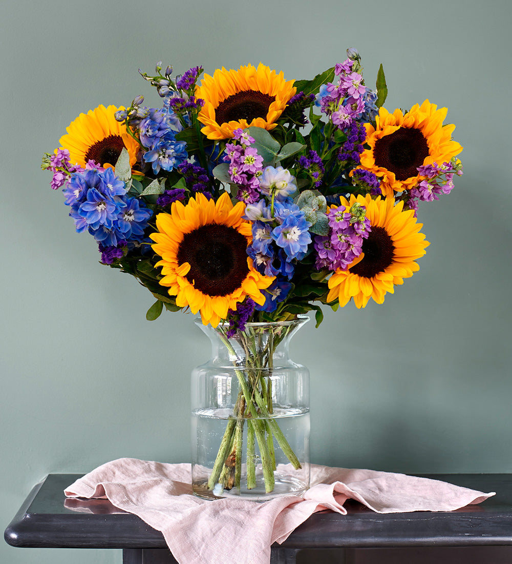 Sunflower Dreams